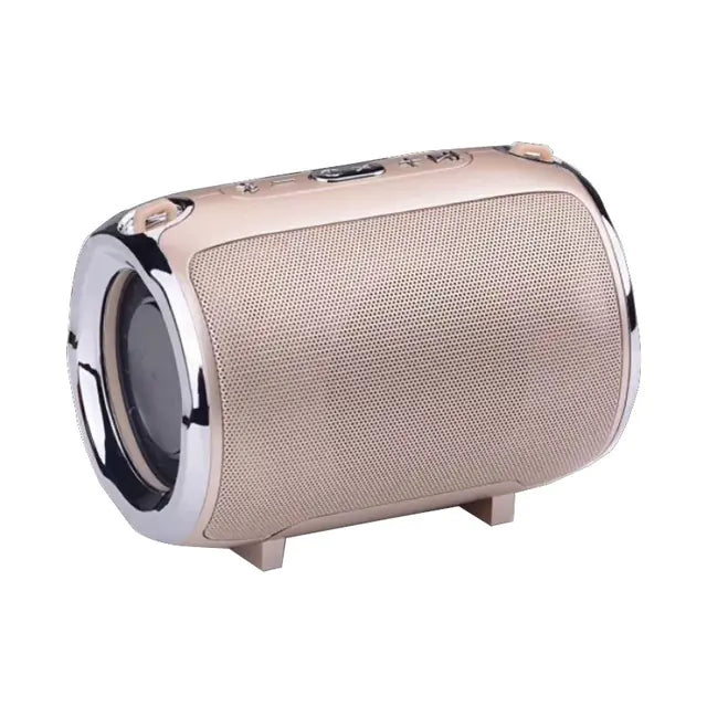 Portable Anti-Fall Bluetooth Speaker with Subwoofer